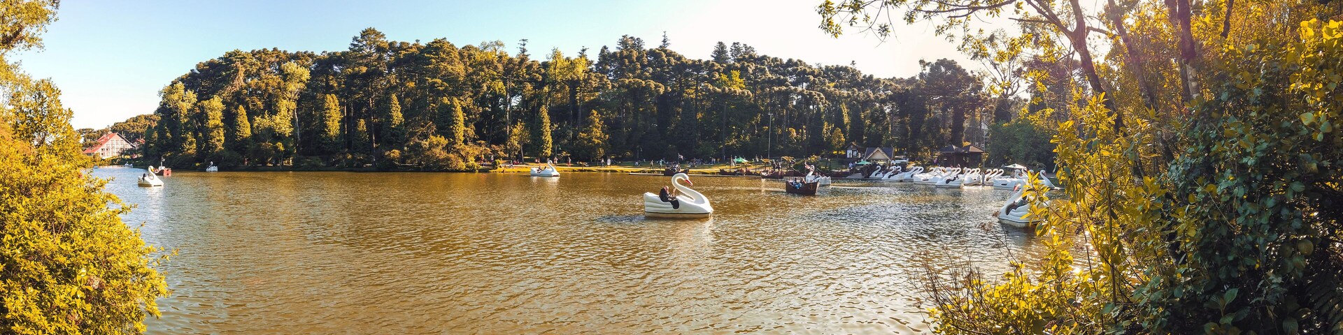 Un río tranquilo con barcos, rodeado de árboles frondosos y un cielo despejado.