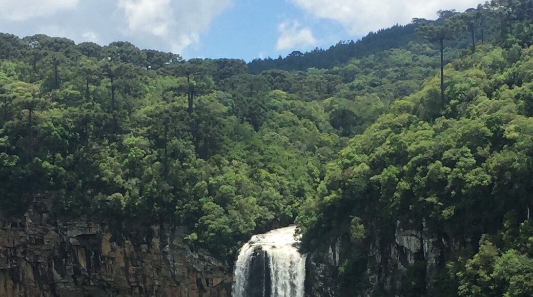 A cascata caracol é um dos lugares mais bonitos de canela. você pode ver o local de um mirante ou de um bondinho. recomendo mas o bondinho, que tem alguns pontos de parada para fotos.
Caracol Falls is one of the most beautiful places in Canela. you can see ir from The lookout or from tram, which I recommend because of the stops where you can take pictures