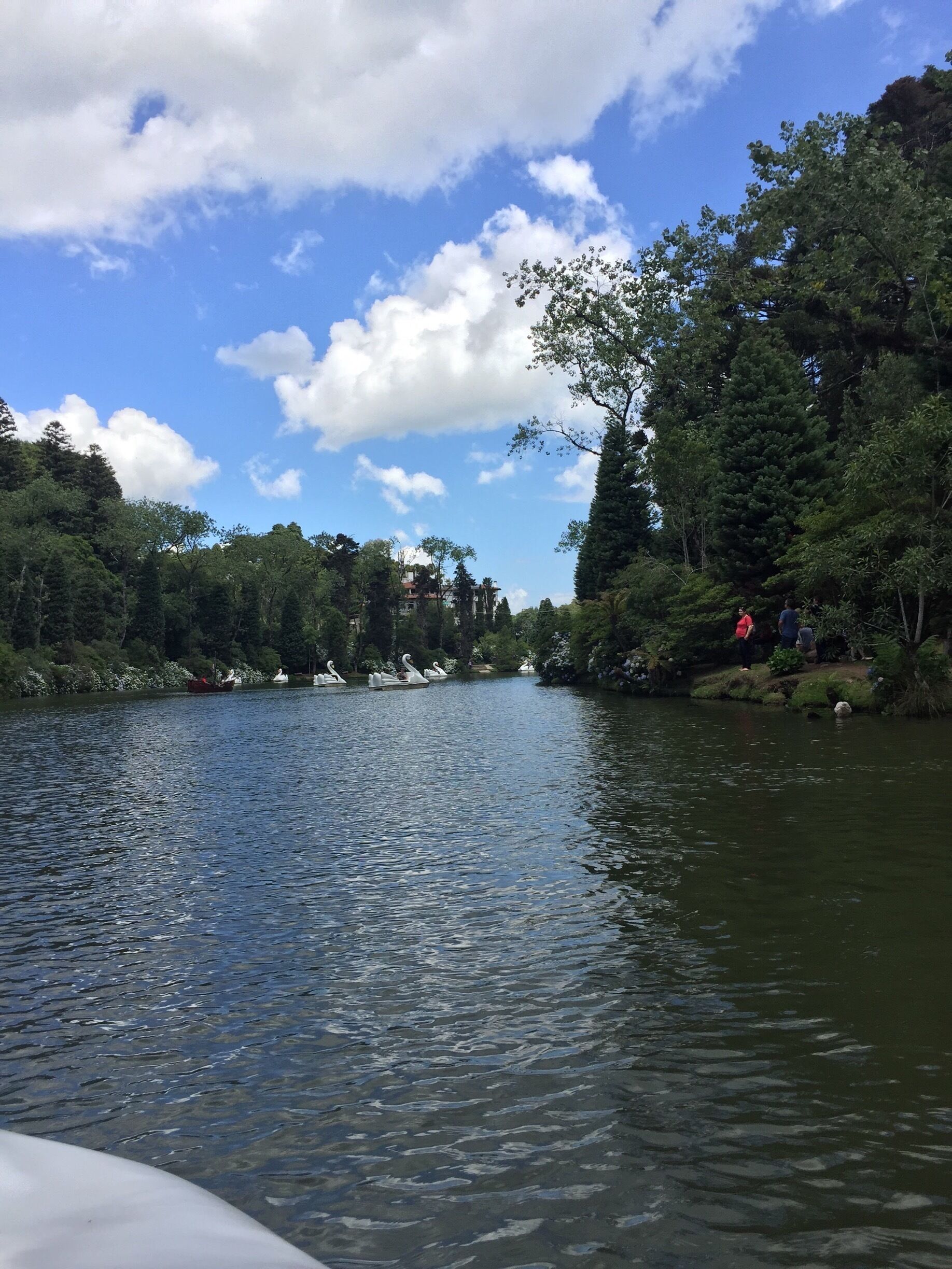 O Lago Negro é o local mais romântico de Gramado. Há pedalinhos e locais para piqueniques. É diversão para casais e para famílias. 
Lago Negro is the most romantic place in Gramado. there are pedals and places where you can make a picnic. it’s fun to couples and families.
