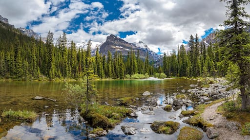 Lake Ohara hiking trail in cloudy day in Spring, Yoho, Canada