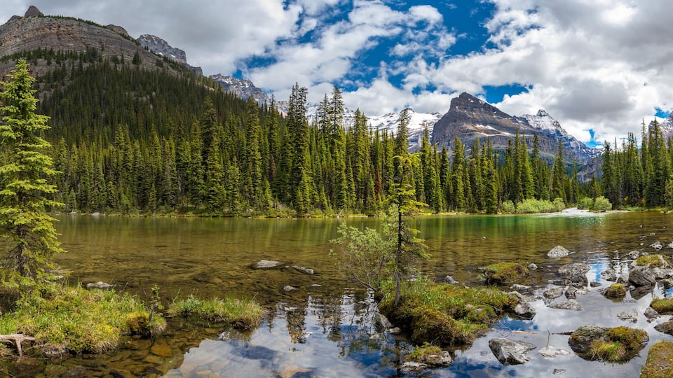 A mountain lake surrounded by dense forest and rocky mountains.