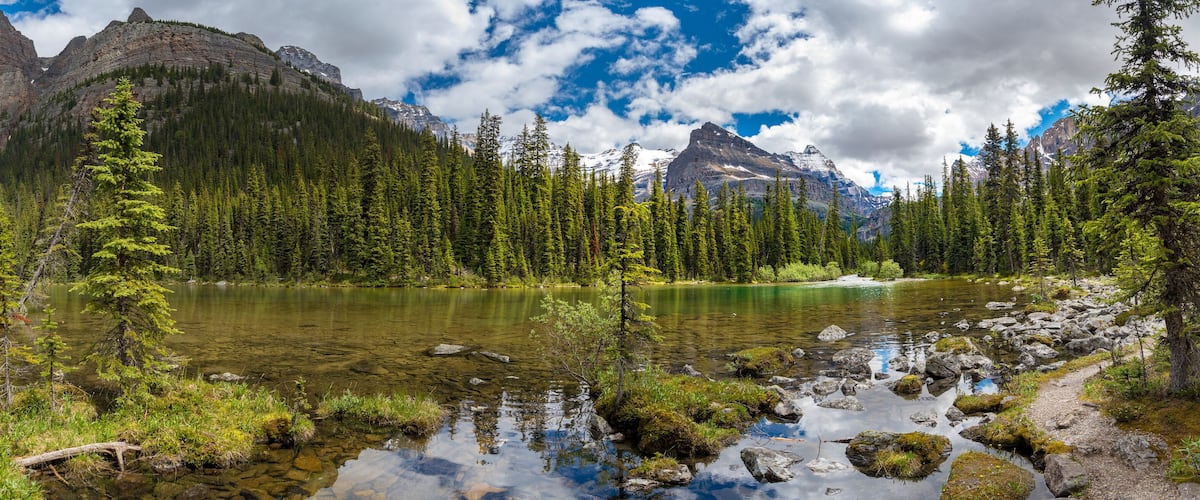 A mountain lake surrounded by dense forest and rocky mountains.