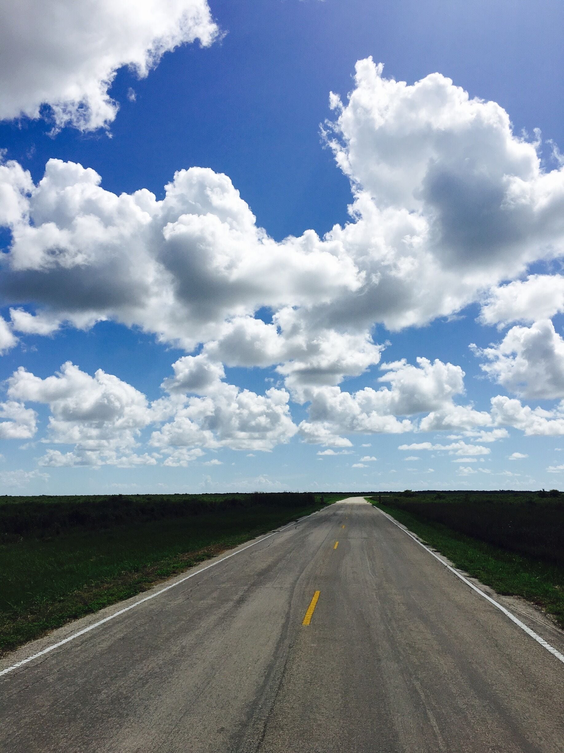 The road into the preserve. This is a beautiful area with an abundance of wildlife.
