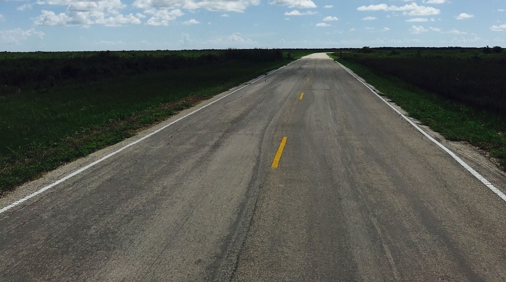 The road into the preserve. This is a beautiful area with an abundance of wildlife.