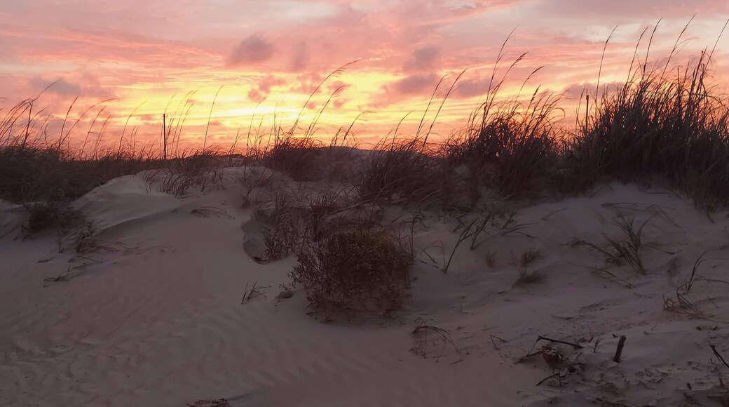 Sunset Freeport , TX