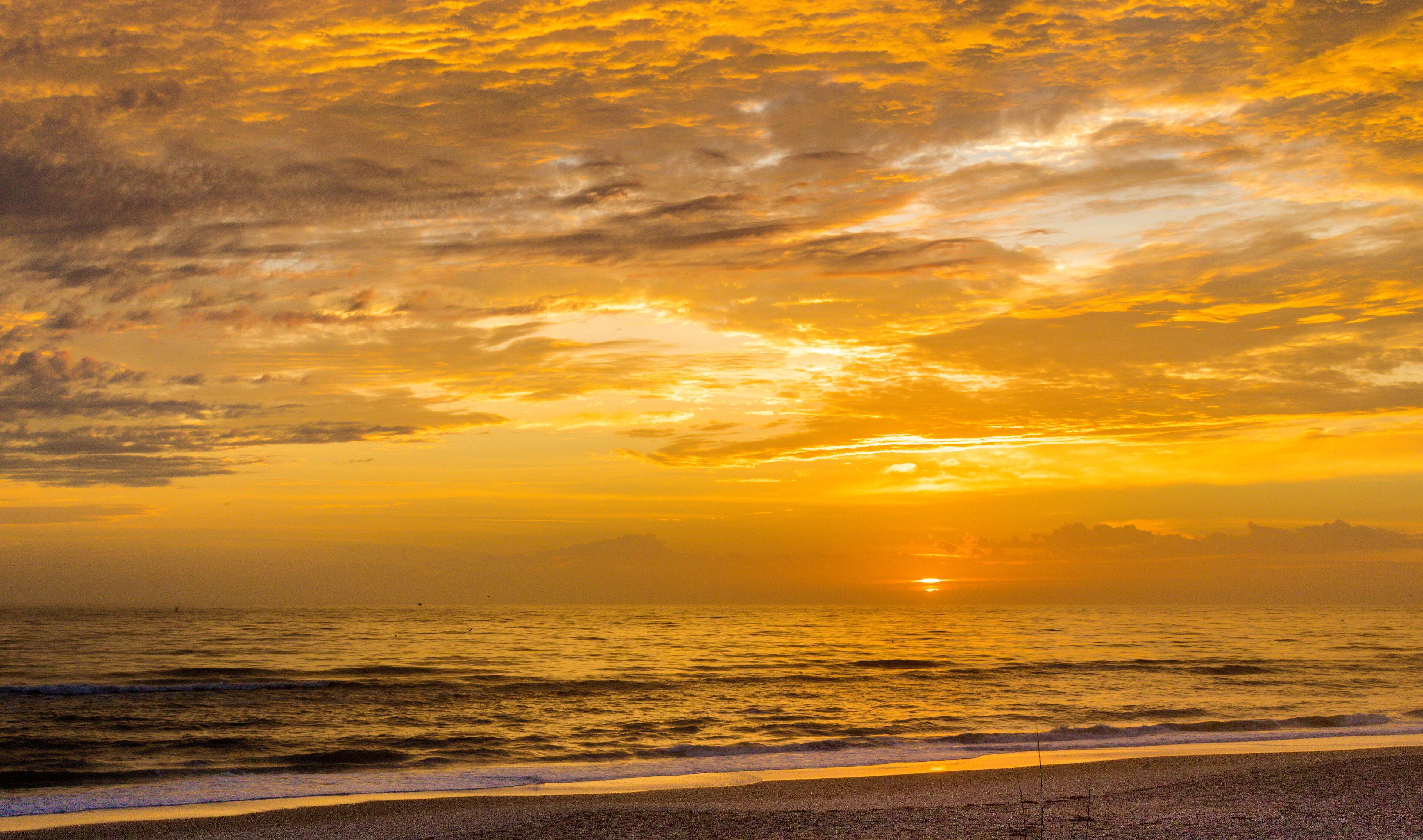 Sunrise Atlantic Coast