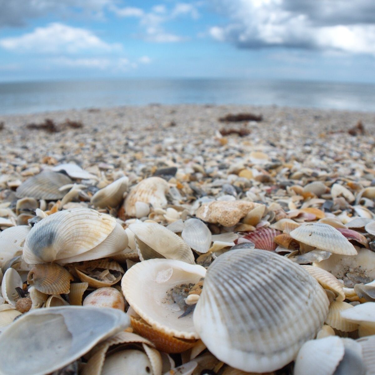 #beautiful #beach near Melbourne, #Florida. You can walk for miles!