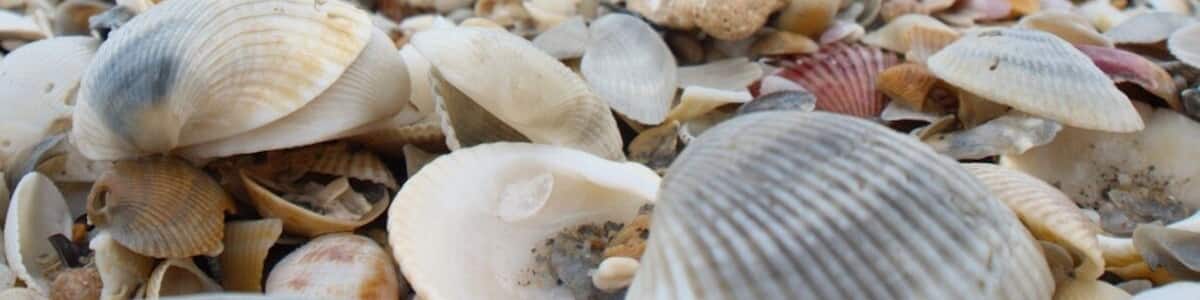 #beautiful #beach near Melbourne, #Florida. You can walk for miles!