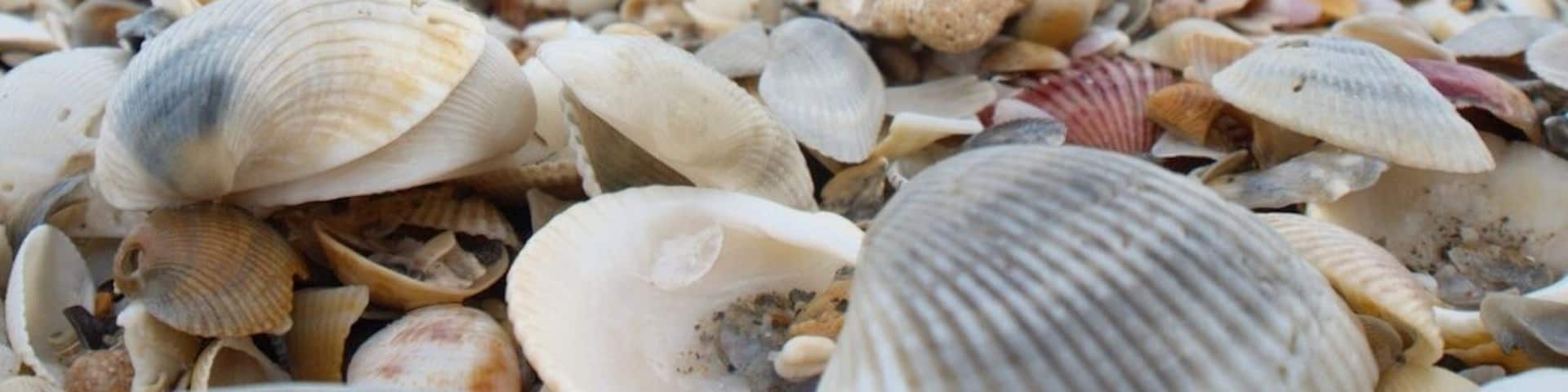 #beautiful #beach near Melbourne, #Florida. You can walk for miles!