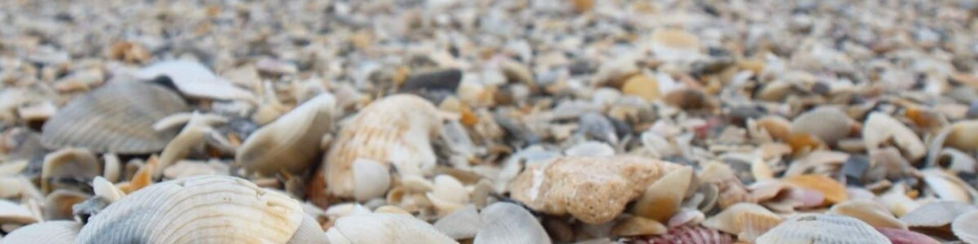 #beautiful #beach near Melbourne, #Florida. You can walk for miles!