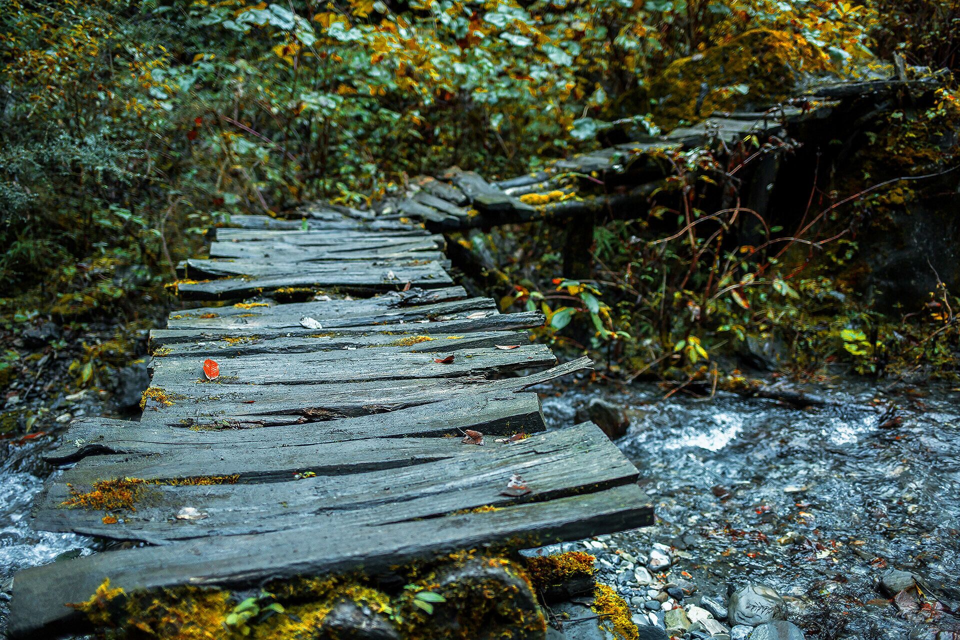 Autumn to the #HuyaGrandCanyon of Pingwu.平武虎牙秋色.

https://twitter.com/Beautifulgx