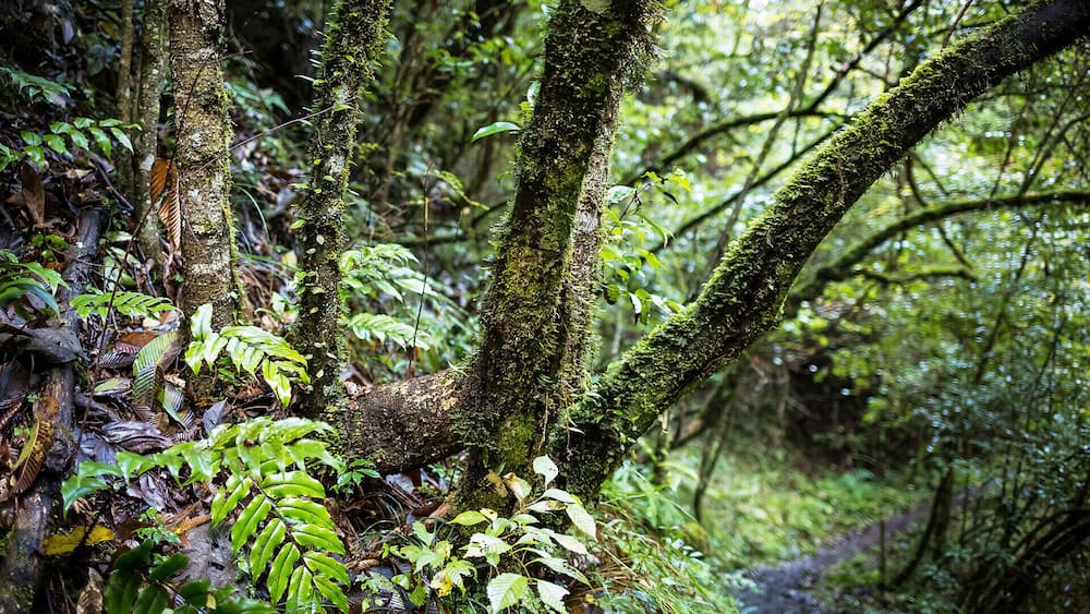 Autumn to the #HuyaGrandCanyon of Pingwu.ćčłæŠèçç§èČ.
https://twitter.com/Beautifulgx