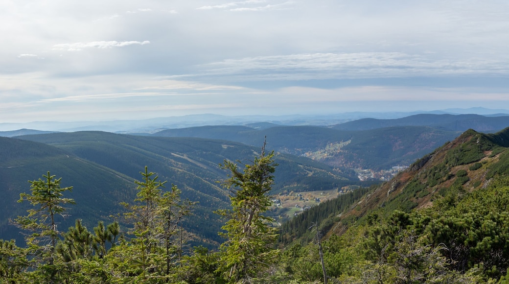 Karkonosze Mountains (Kozi hrbety), Czech Republic, Karkonosze National Park, Tourist Routes, Tourists, Trail