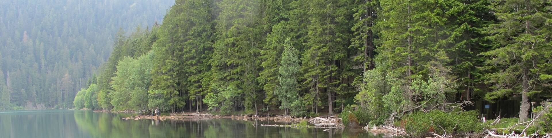 Lake "Černé jezero" - in national nature reserve Černé a Čertovo jezero near Železná Ruda in Klatovy District