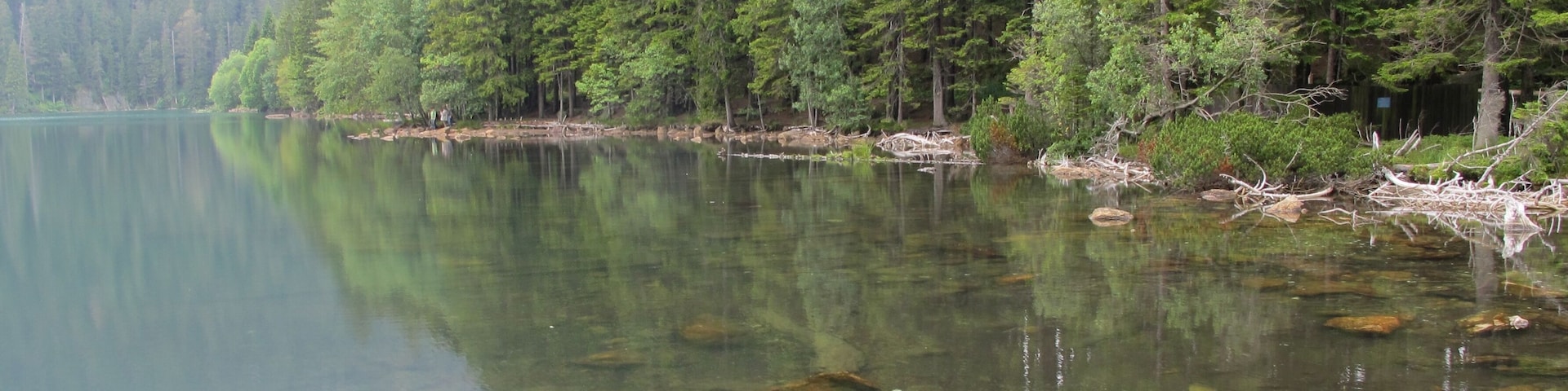 Lake "Černé jezero" - in national nature reserve Černé a Čertovo jezero near Železná Ruda in Klatovy District