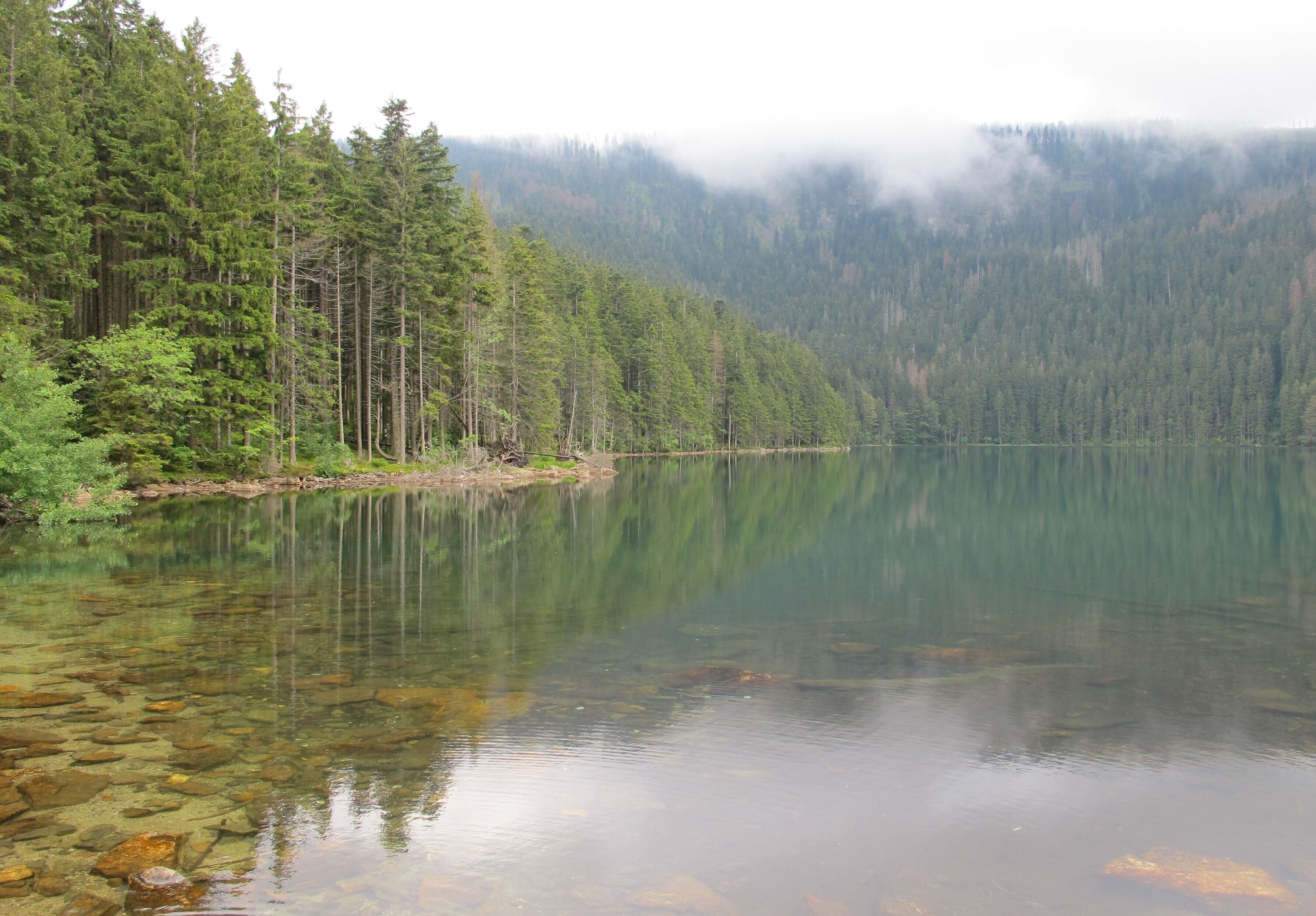 A calm lake surrounded by dense forest and mist-covered mountains.