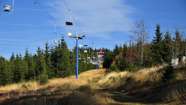 Cesta na Pancíř - Šumava