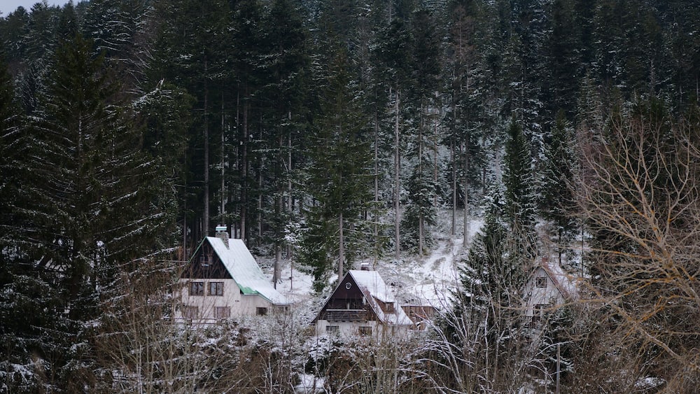 A snow-covered forest with houses nestled among tall trees.