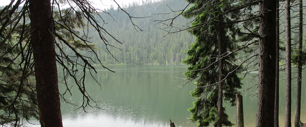 Lake "Čertovo jezero" - in national nature reserve Černé a Čertovo jezero near Železná Ruda in Klatovy District