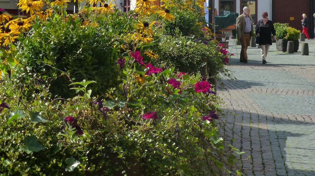Bad Münstereifel – Markt – Werther Straße