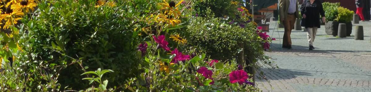 Bad Münstereifel – Markt – Werther Straße