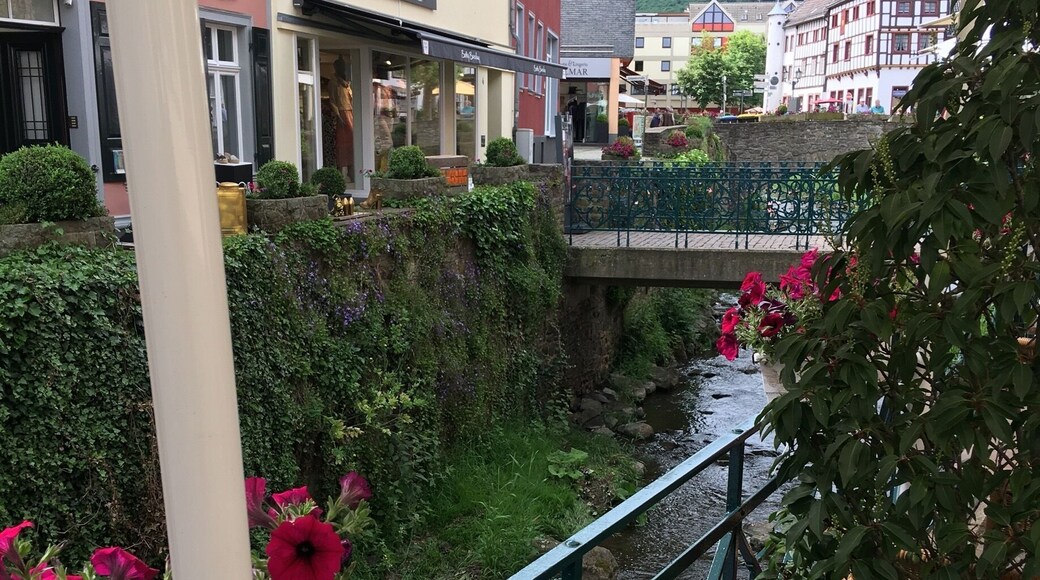 The stores of the City Outlet of Bad Münstereifel are positioned in VERY old houses, mostly about anno 1580, but in a very good state. You can find a lot of great brands there and a lot more, nice restaurants and a Lindt chocolate shop 😍
That's one hour by car from my home.