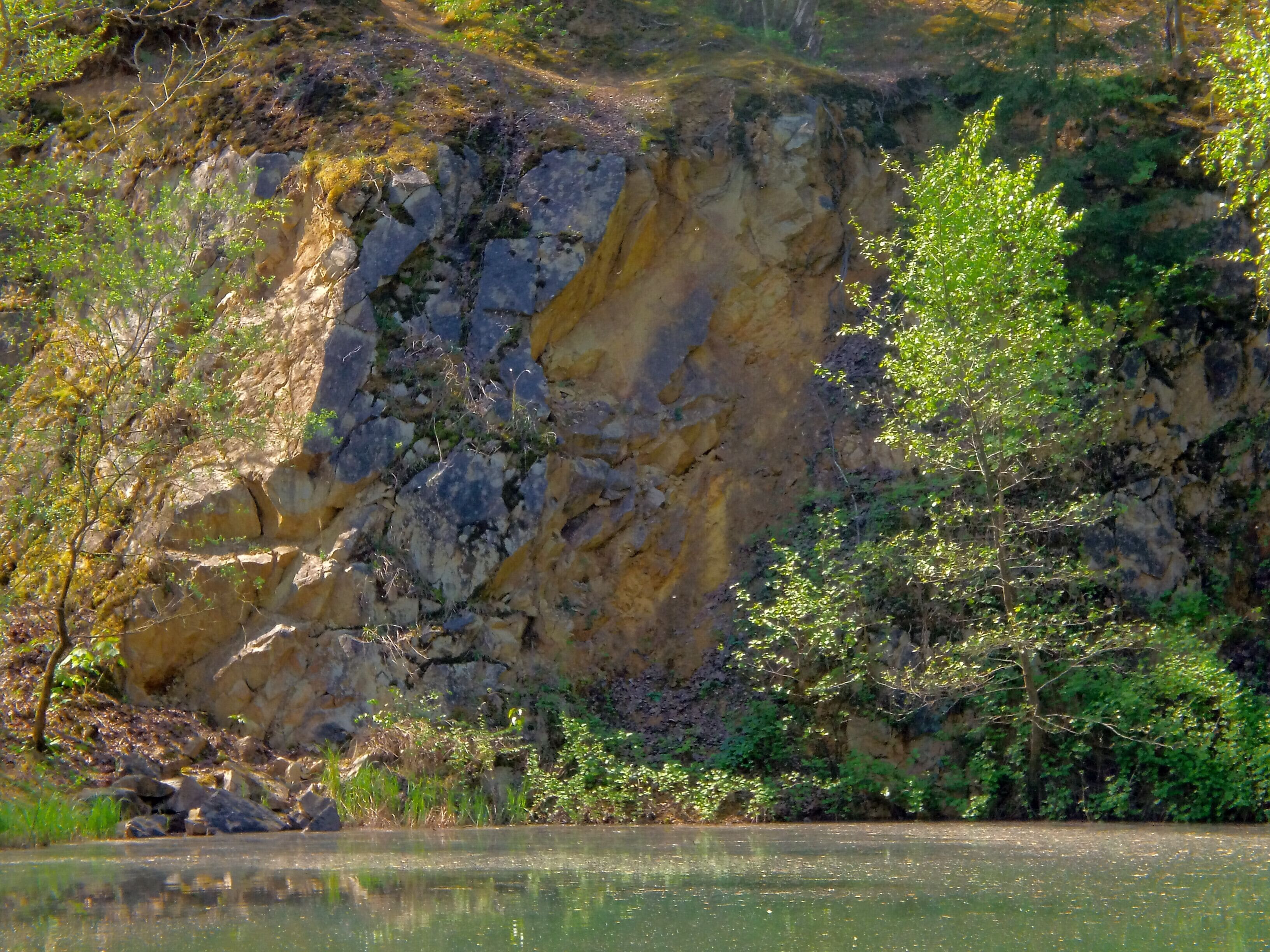 Steinwand im Naturschutzgebiet „Grube Cox“ zwischen Bergisch Gladbach und Bensberg