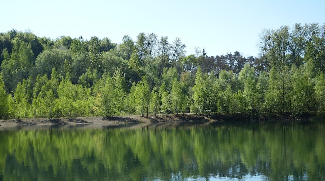 Naturschutzgebiet „Grube Cox“ zwischen Bergisch Gladbach und Bensberg: Spaziergänge bieten Erholung wie im Urlaub.