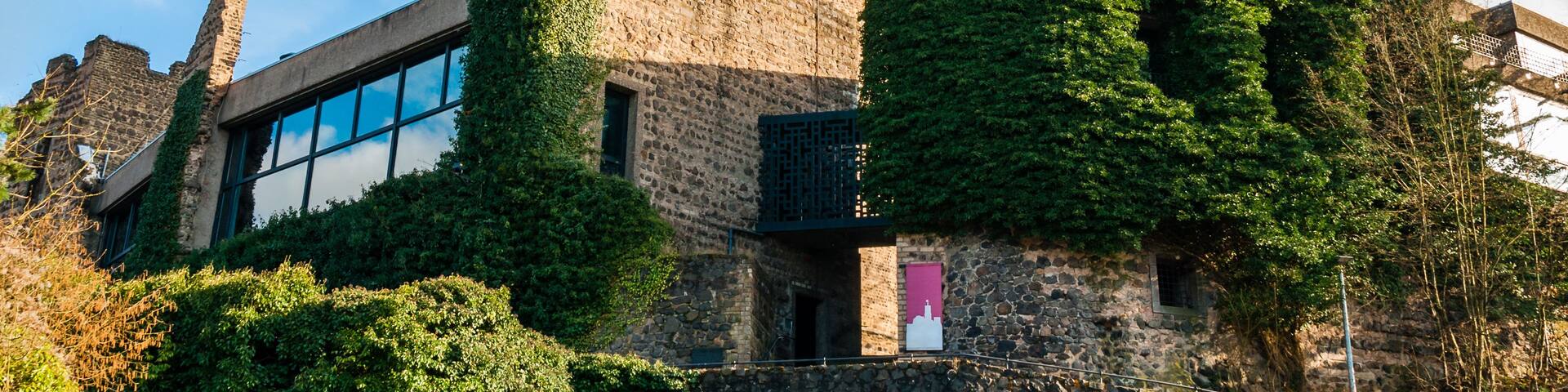 A historic castle with a tall tower, ivy-covered walls, and a flag.