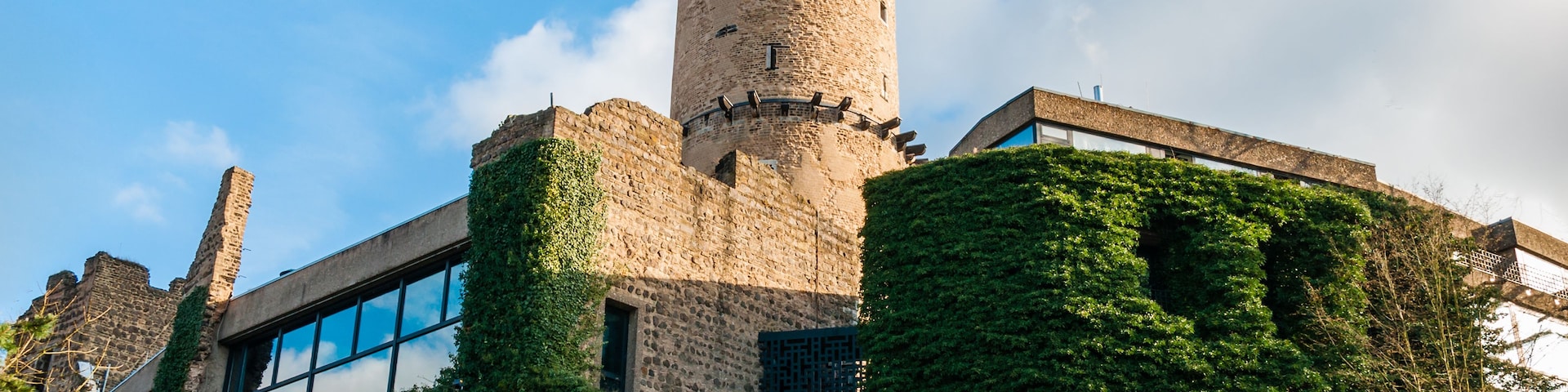 A historic castle with a tall tower, ivy-covered walls, and a flag.