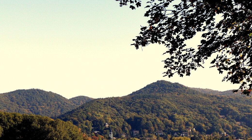 Blick auf Bad Honnef und den Stadtteil Rhöndorf von der Rheinebene bei Mehlem