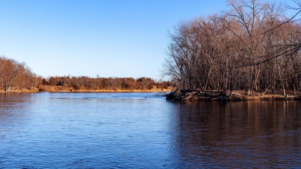 A calm river flanked by leafless trees under a clear sky.