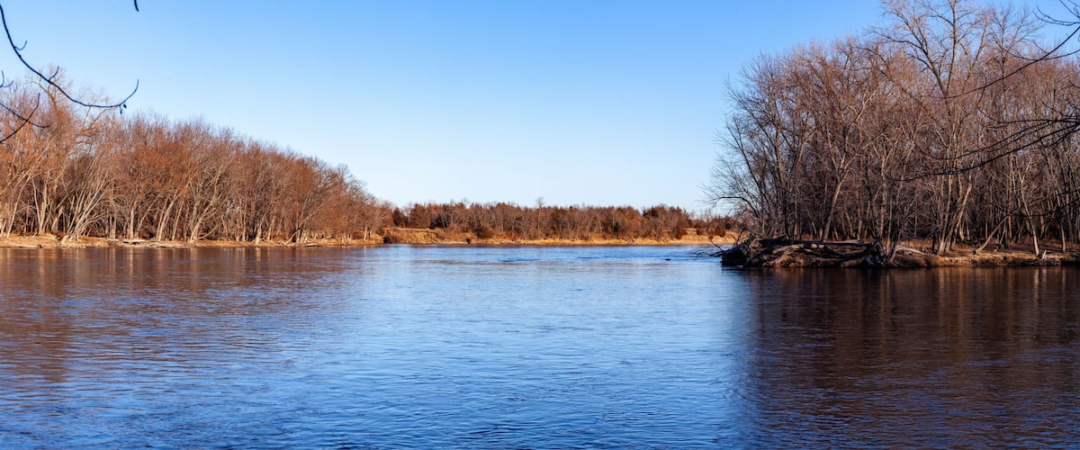 A calm river flanked by leafless trees under a clear sky.