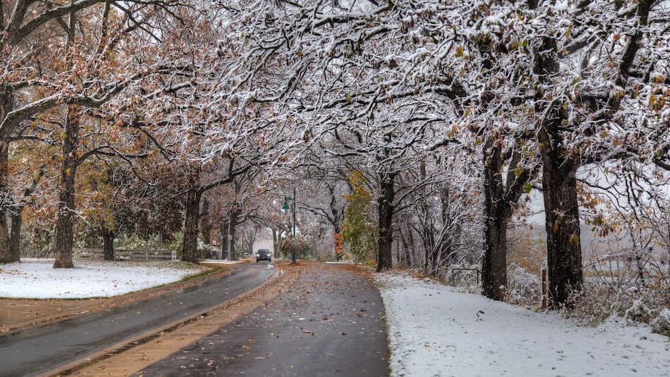 A snow-covered road flanked by trees with bare branches.