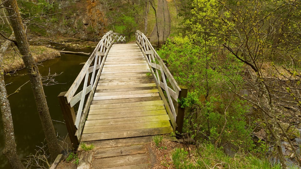 A wooden bridge over a river surrounded by trees and greenery.
