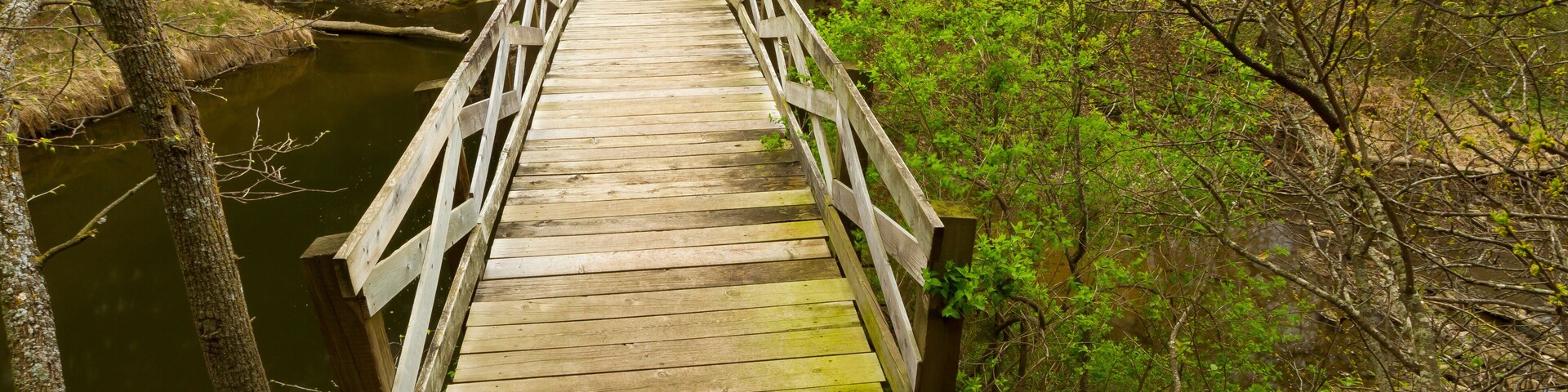 A wooden bridge over a river surrounded by trees and greenery.
