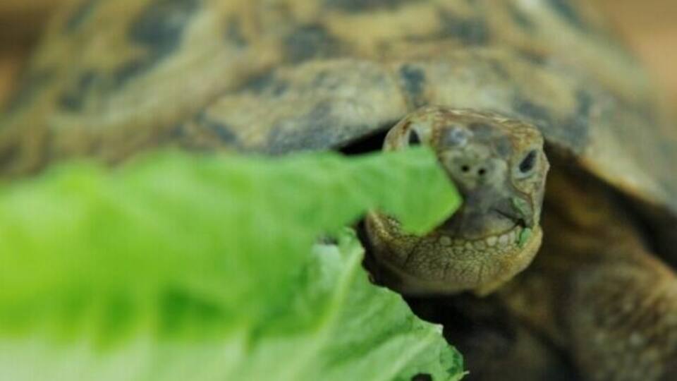 Any one likes to have a bite :-)