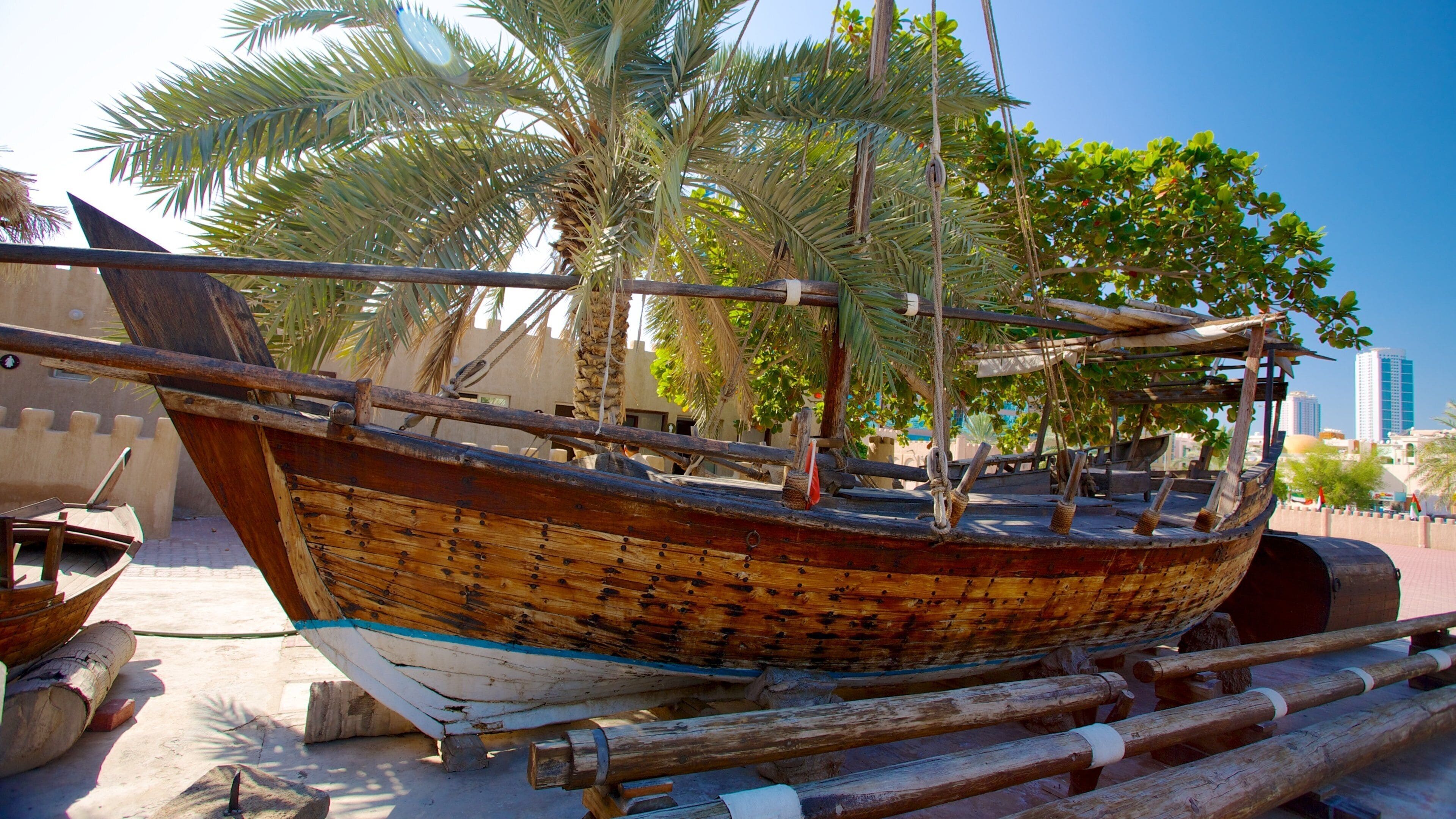 Ajman which includes tropical scenes and a city