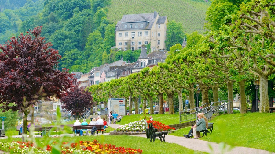 Cochem showing a small town or village, flowers and a garden