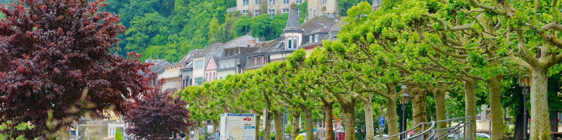 Cochem showing a small town or village, flowers and a garden