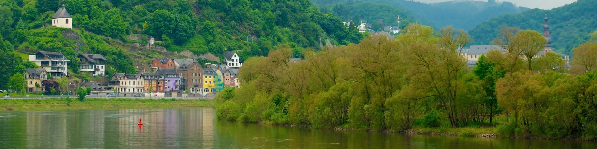 Cochem which includes chateau or palace, tranquil scenes and mountains
