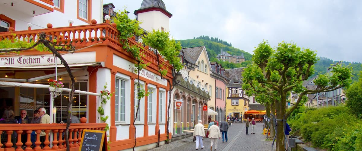A cobblestone street lined with traditional European buildings, a signboard, and a tree.