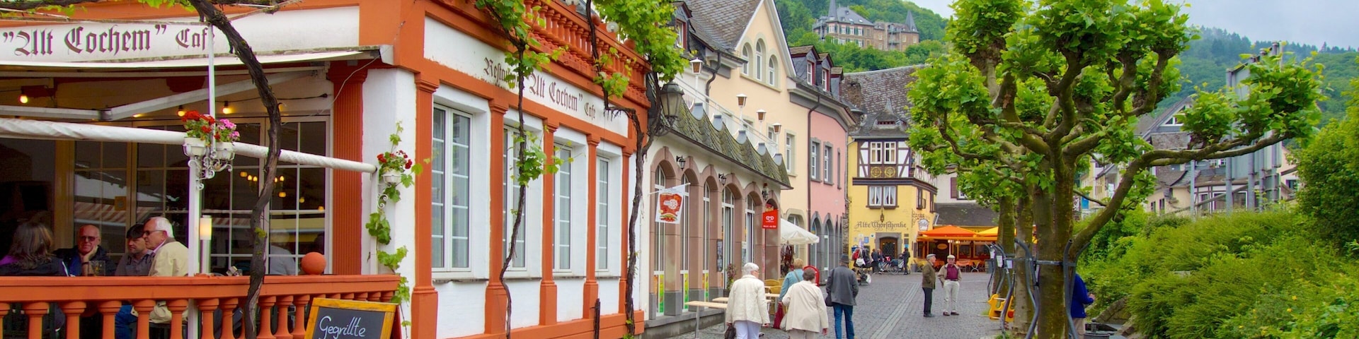 A cobblestone street lined with traditional European buildings, a signboard, and a tree.