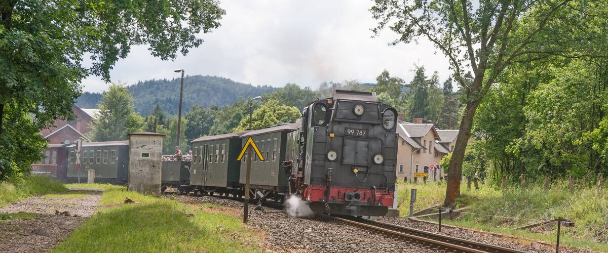 A steam locomotive with the number 99 787 on a railway track surrounded by greenery and buildings.