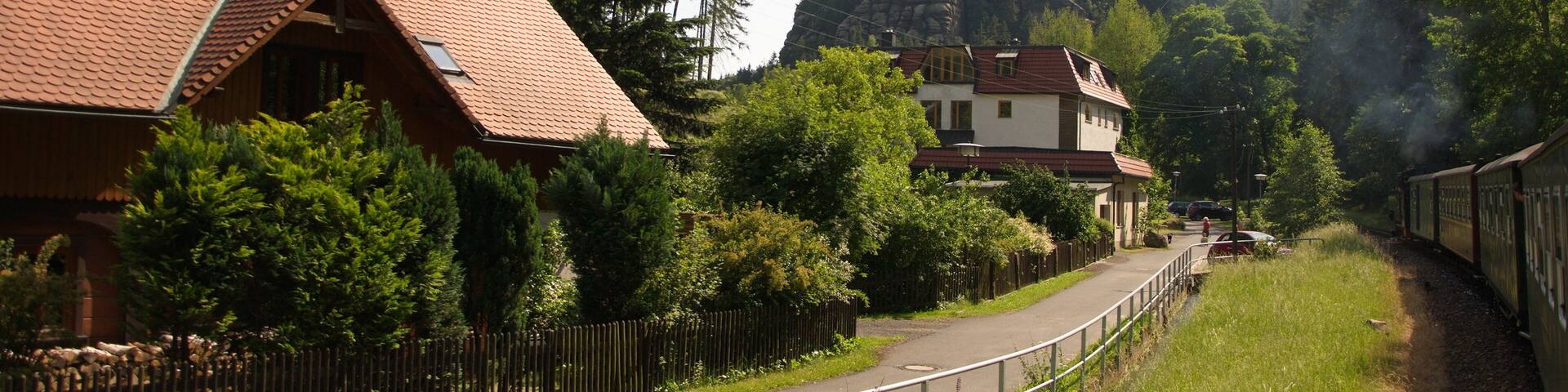 Retro steam train passes a mountain resort in Germany.