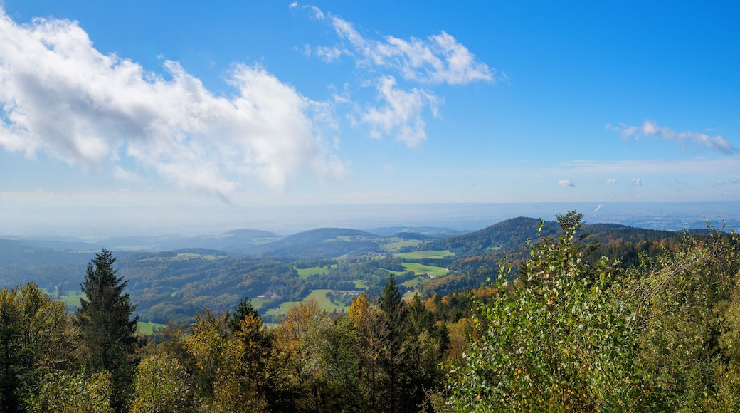 beautiful lookout from Gessingerstein to the surroundings of Deggendorf, lower bavaria