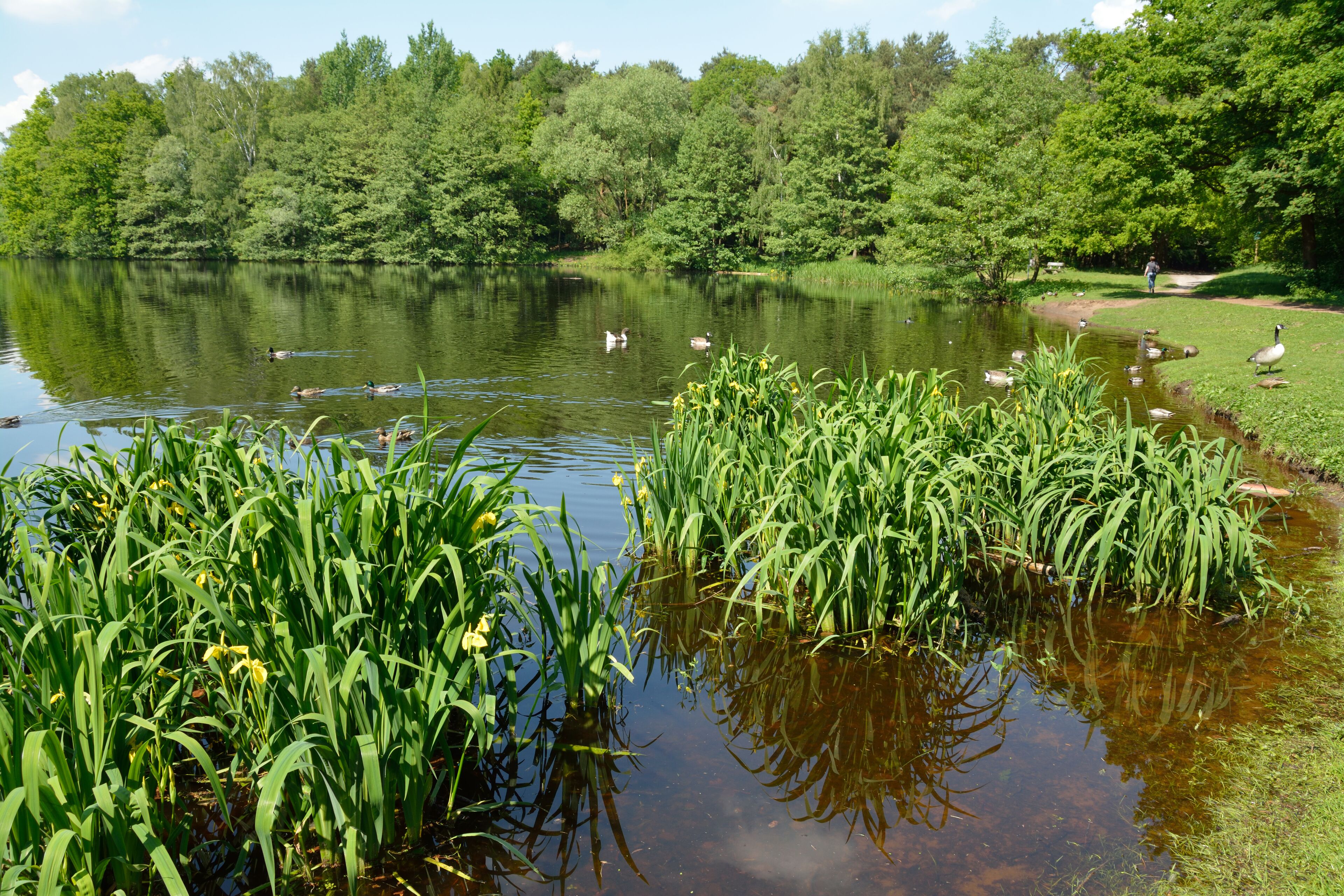 This image was uploaded as part of Wiki Loves Earth 2014.