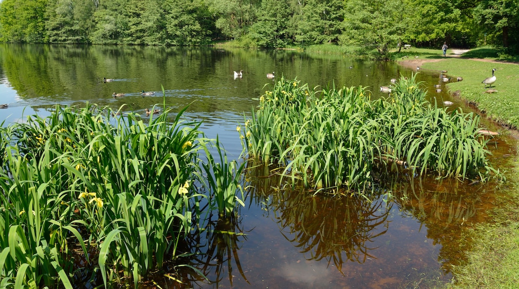 This image was uploaded as part of Wiki Loves Earth 2014.