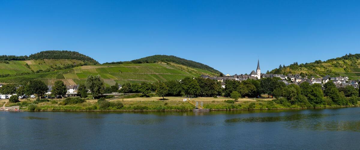 A lakeside town with a church, vineyards, and rolling hills.