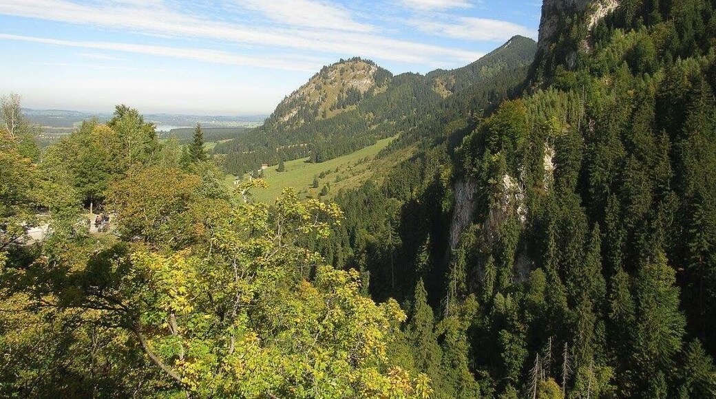 The very #green view of looking out from Neuschwanstein Castle during the early fall
#takeahike
#mountains
